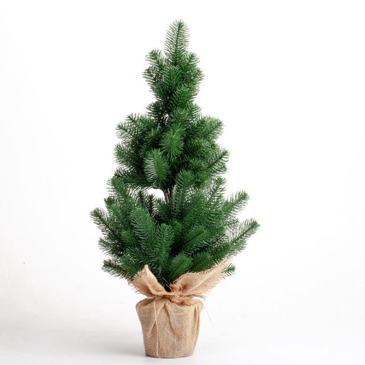 Christmas tree in a Premium cast bag, 70 cm, 100/70/G
