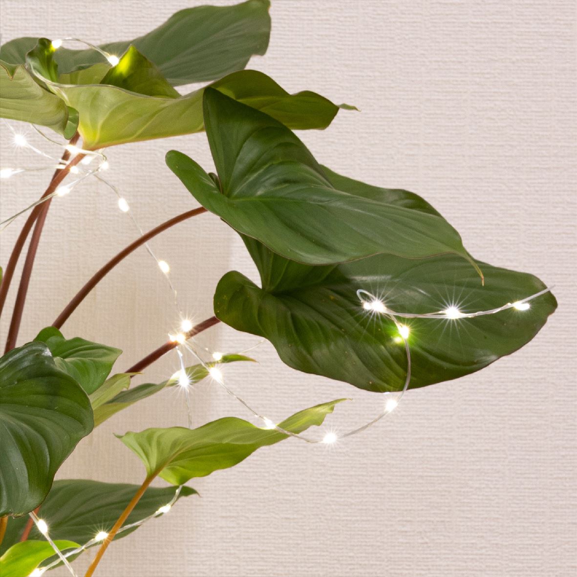 Christmas garland for plants, 40 cm, 40L LED, 48.6268 Christmas garland 40 cm, 40L LED, 48.6268