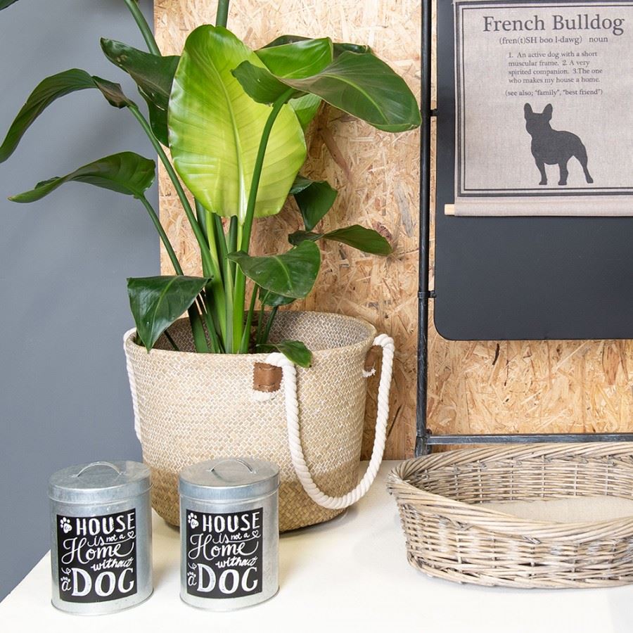 Grey oval rattan dog bed