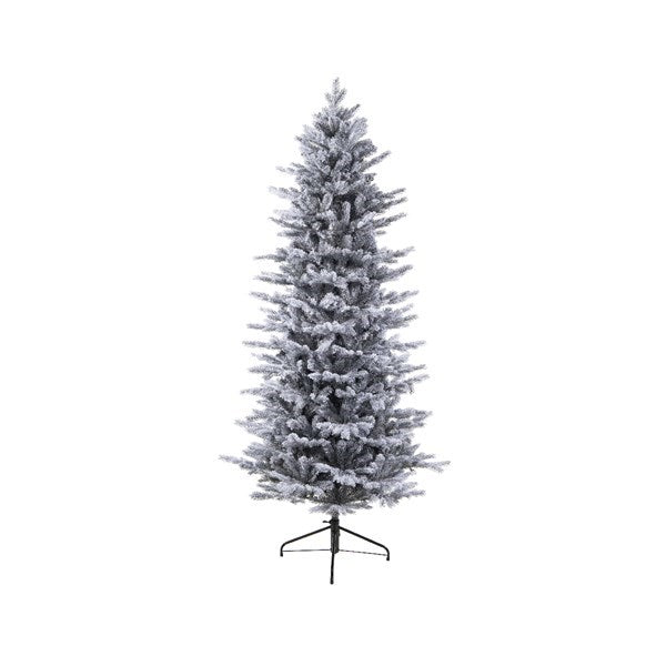 Christmas Tree Grandis Fir with Frost – 210x100 cm