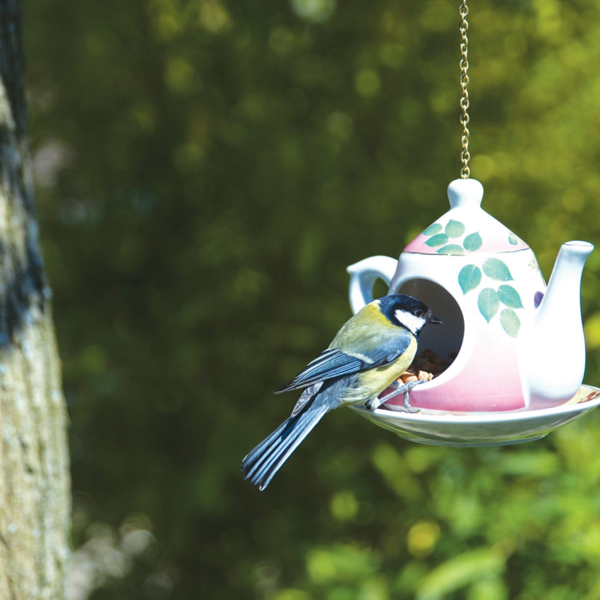 Bird feeder, 14*16*14 cm, FB281