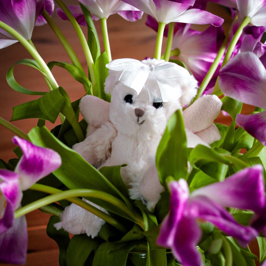 Bukowski Plush Bear “Kaitlyn” – 18 cm Elegant Scandinavian Toy