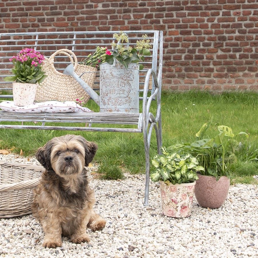 Grey oval rattan dog bed in vintage style