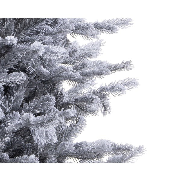 Christmas Tree Grandis Fir with Frost – 210x100 cm