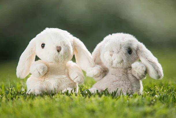 Bukowski Plush Rabbit “Kanini” – 15 cm Elegant Scandinavian Bunny
