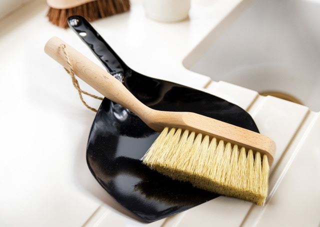 Living Nostalgia Scoop Brush, NEDPBSETCOCO