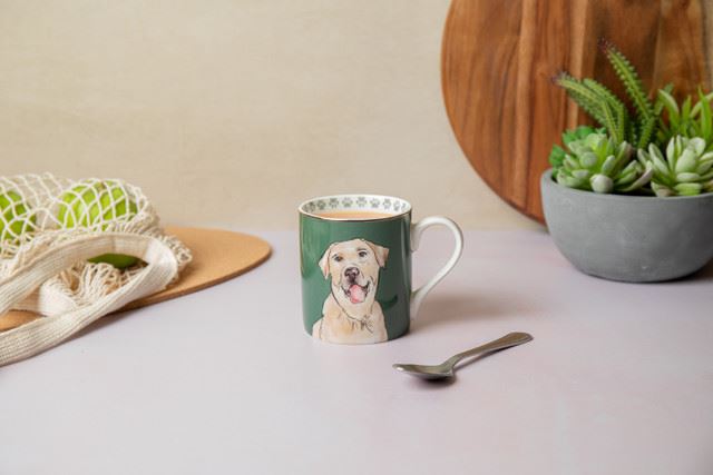 Mikasa Labrador Cup, 280 ml, MKCANLAB